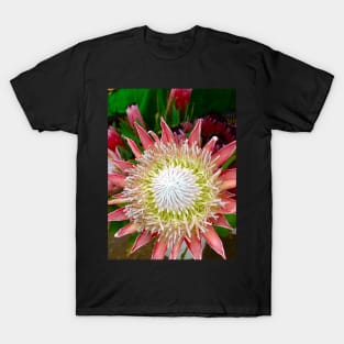 Protea Hawaii 1 T-Shirt